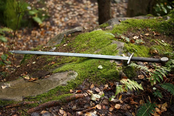 The sword lies on the mossy stone