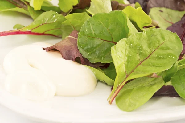 Beetroot leaves salad