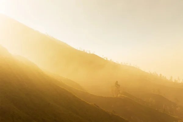 Fog covered mountain layer with the golden light on morning.