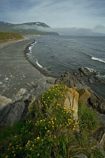 The Sea of Okhotsk.