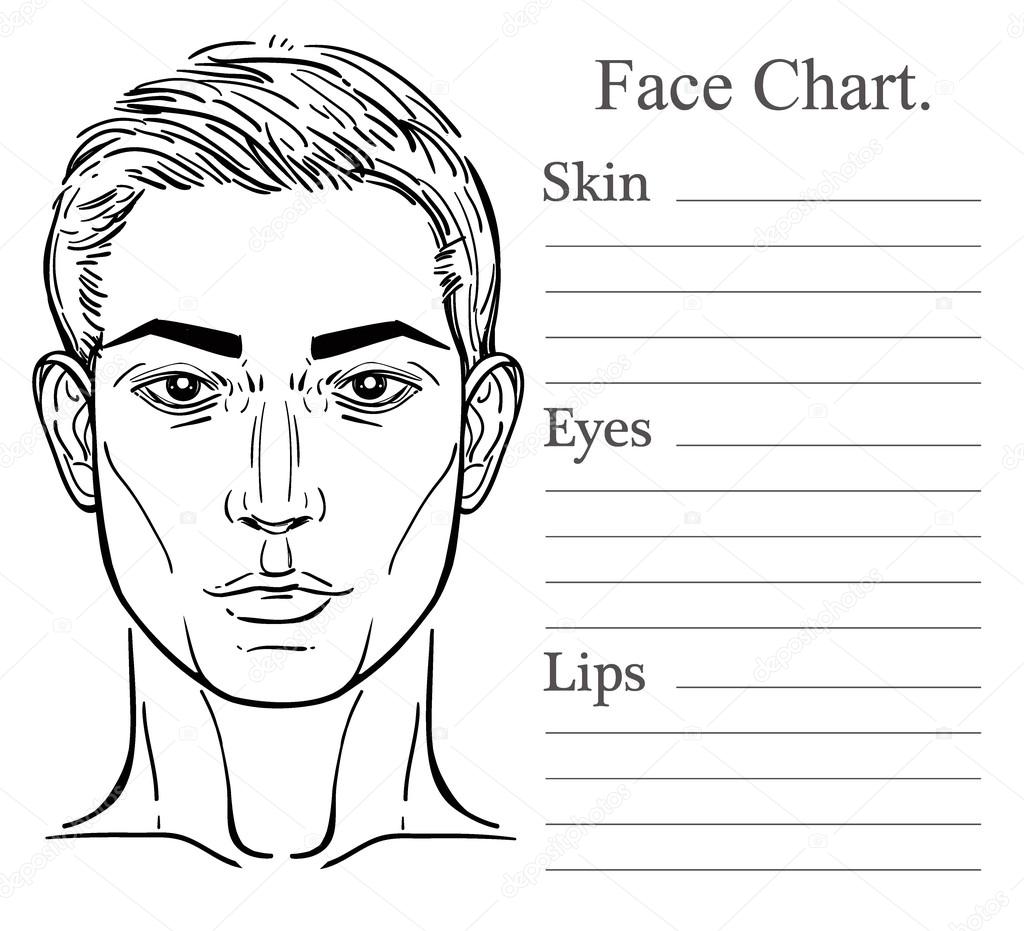 face chart для визажистов скачать