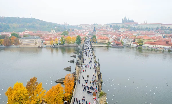Top view from tower to Charles Bridge the way to New town side, Prague, Czech Republic