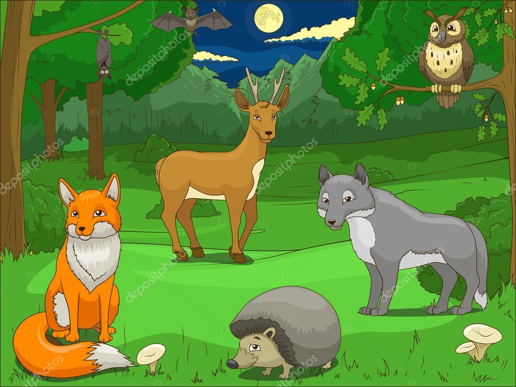 Dessin Anime Les Animaux De La Foret Forêt avec jeu éducatif de dessin animé animaux — Image vectorielle