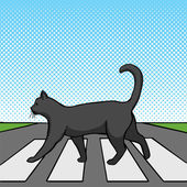 Resultado de imagem para gato a atravessar estrada