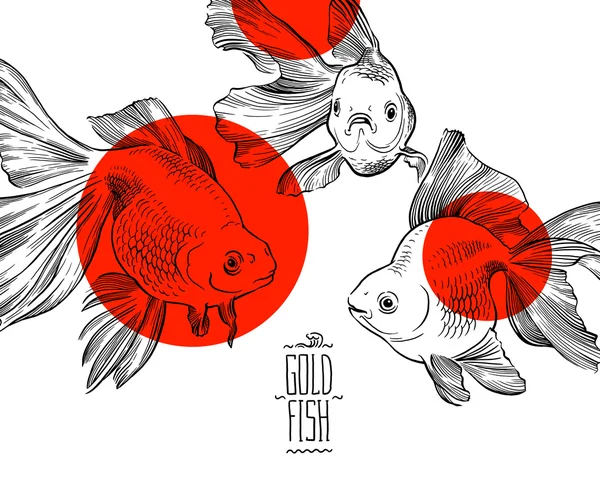 Goldfish illustration artwork  line underwater point  zen meditation