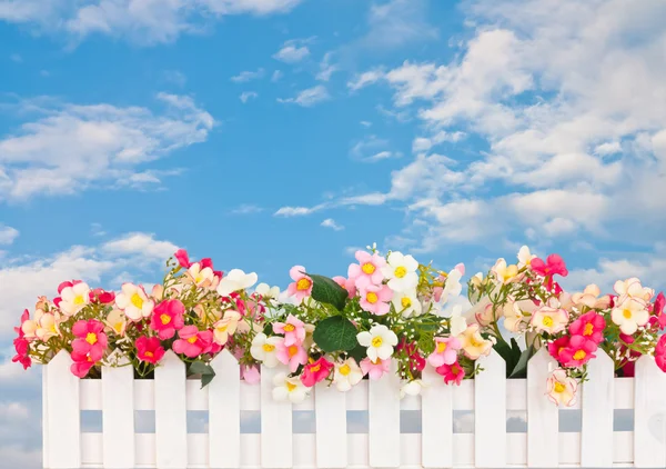 Flower fence sky background
