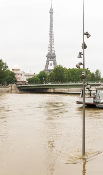 The Alma bridge and Seine river in flood, Paris, France.