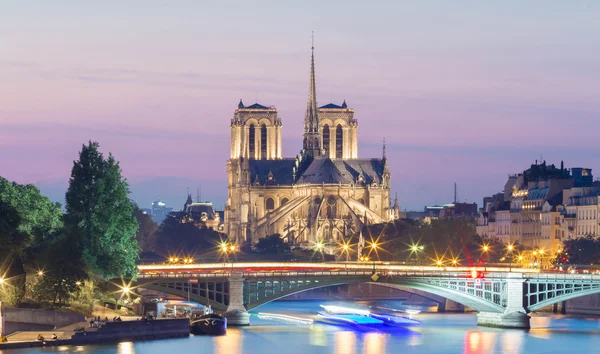 The Notre Dame cathedral at night, Paris.