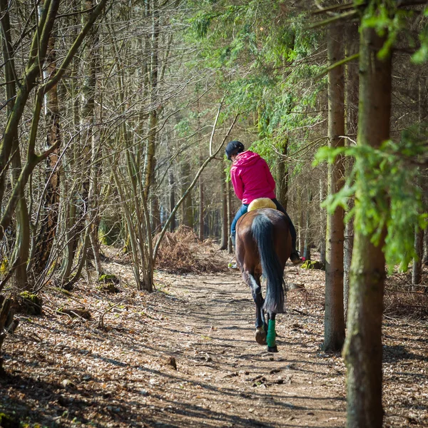 The girl riding a horse for forest trail in the spring