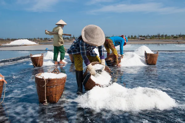 Salt profession in Vietnam.