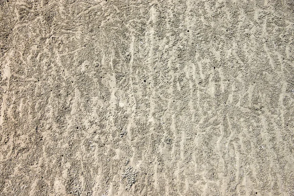 Texture of sand beach covered with traces of crab