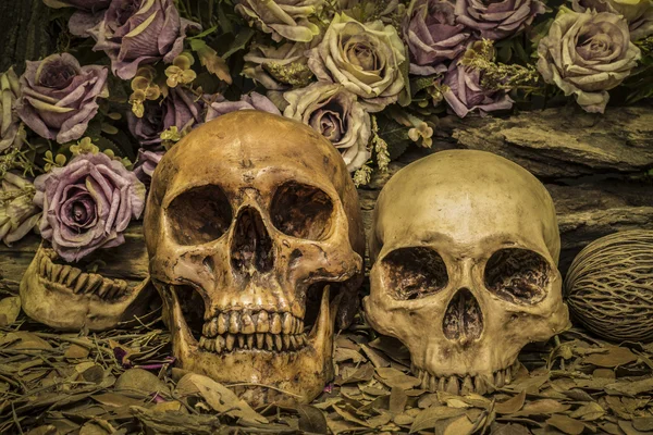 Still life couple human skull with roses