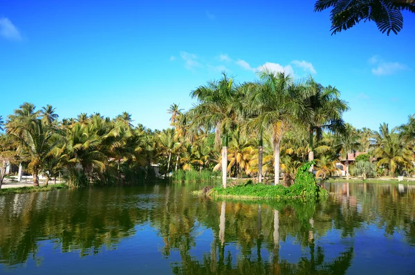 Tropical garden with beautiful lake in luxury resort, Dominican