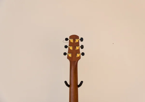 Acoustic Guitar Head
