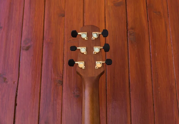 Acoustic Guitar Head