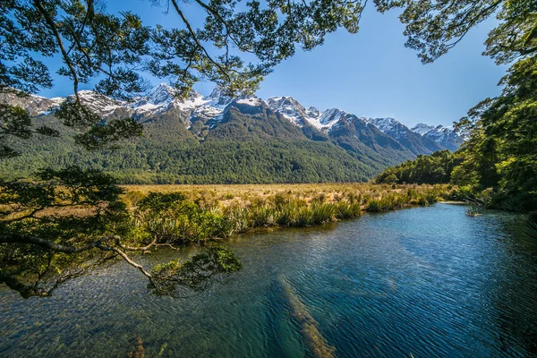 The nature of mirror lake, new zealand