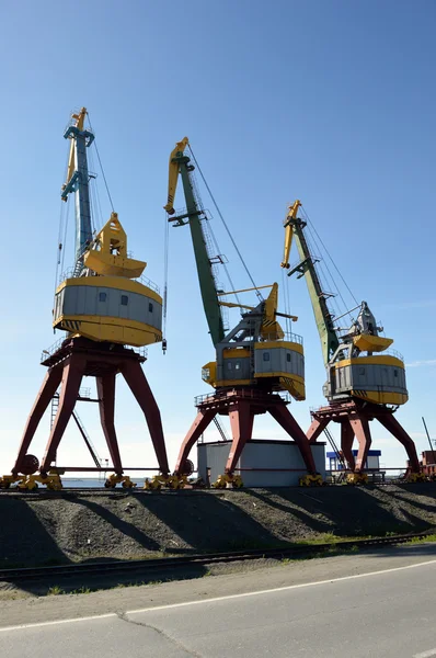 Port cranes on the bank of the Yenisei River