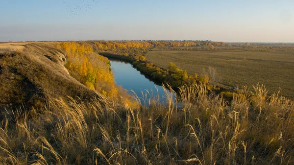 Russian nature. field landscape. river. Autumn