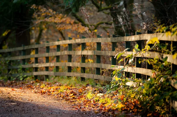 Fence and path in autumn park