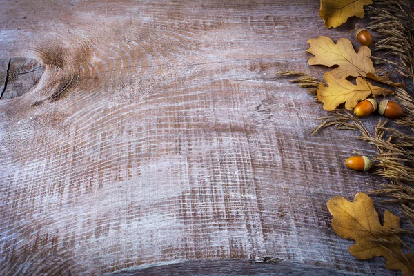 Thanksgiving background with oat, acorn and fall leaves