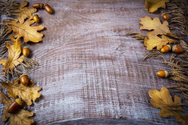 Frame of rye, acorn and fall leaves on dark wooden background