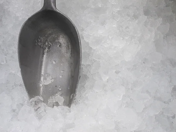 Ice scoop in ice bucket