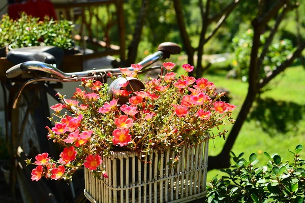 Old bicycle equipped with baskets of flowers