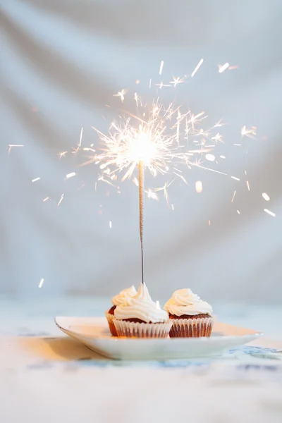 Birthday Cupcake with a sparkler