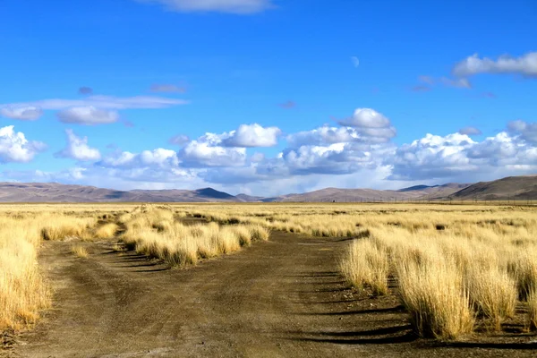 The road to heaven. clear day in the Altai Mountains