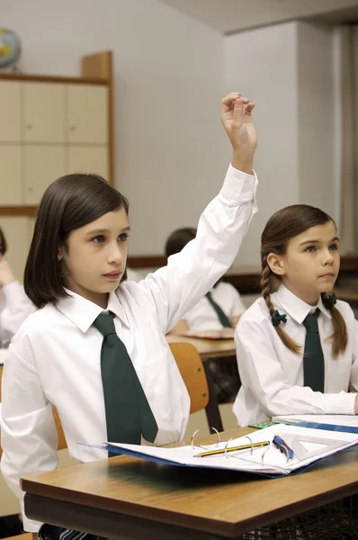 Adorable smart schoolgirl raising hand