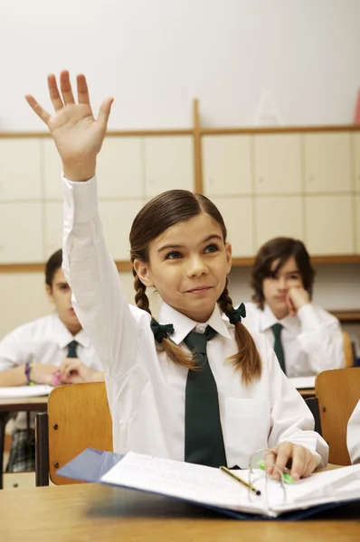 Adorable smart schoolgirl raising hand
