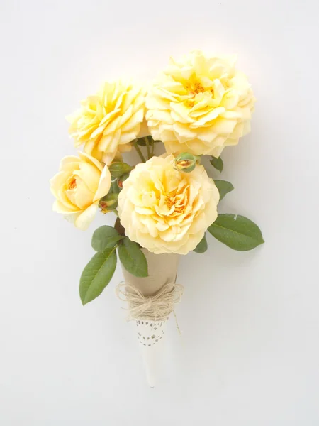 Beautiful English rose  flower on white background