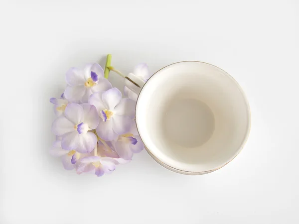 Beautiful purple orchid flower on white background