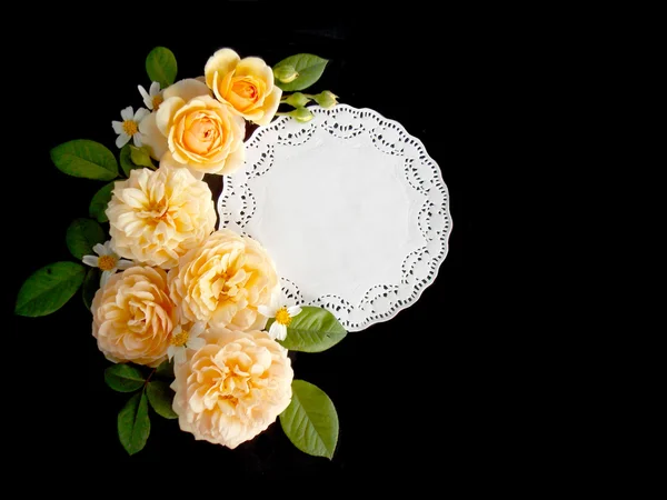 Beautiful English rose flower on black background