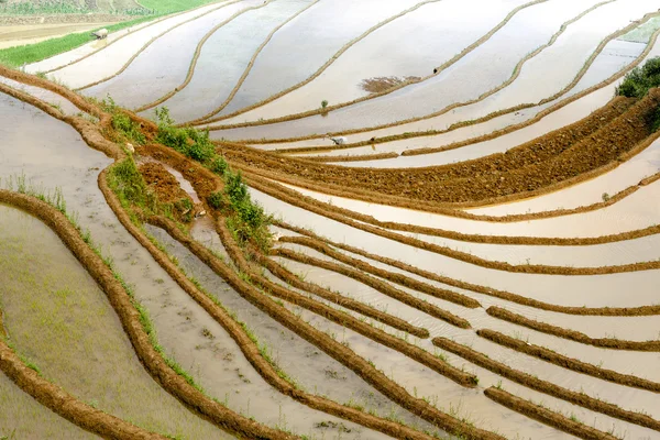 Rice fields and water on terraced of Mu Cang Chai, YenBai, Vietnam. Vietnam landscapes.
