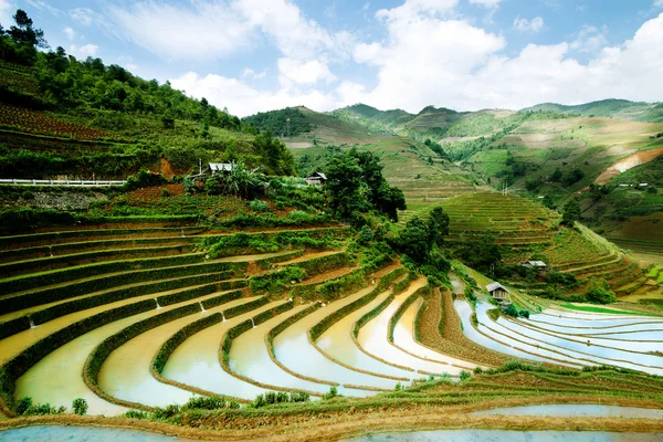 Rice fields and water on terraced of Mu Cang Chai, YenBai, Vietnam.