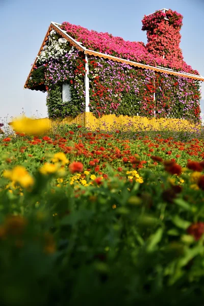 Full of flower house at Dubai Miracle Garden, Dubai, UAE