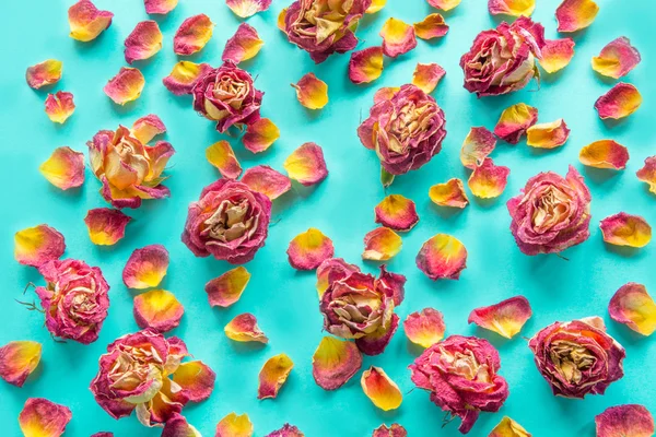 Dried pink roses and petals on blue background. Concept, postcard with place for your text or wallpaper, background.