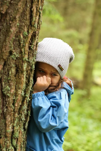 Little girl in a blue cloak, lost in the woods.