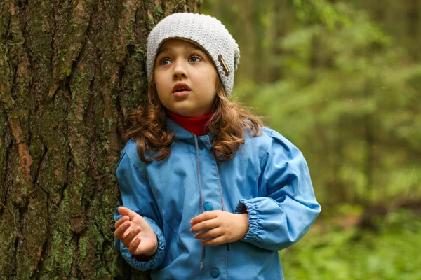 Little girl in a blue cloak, lost in the woods.