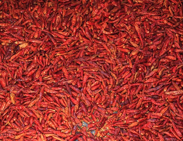Bulk chili pepper. pattern