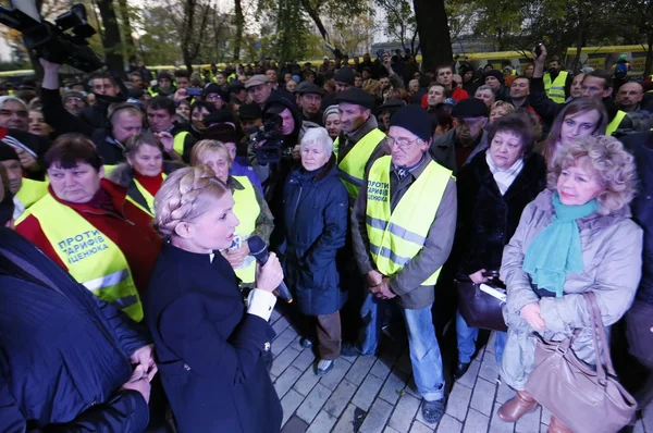 Batkivschyna Party leader Yulia Tymoshenko attended a protest action outside the Cabinet of Ministers against higher utility rates, aka Tariff Maidan, on November 1, 2015.