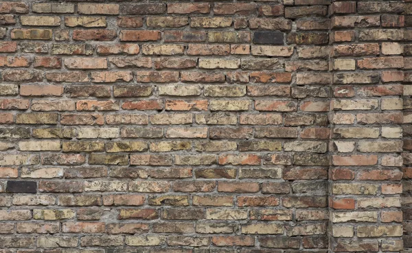 Mottled old brick wall with natural lighting  textured backgroun