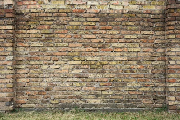 Mottled old brick wall with natural lighting  textured backgroun