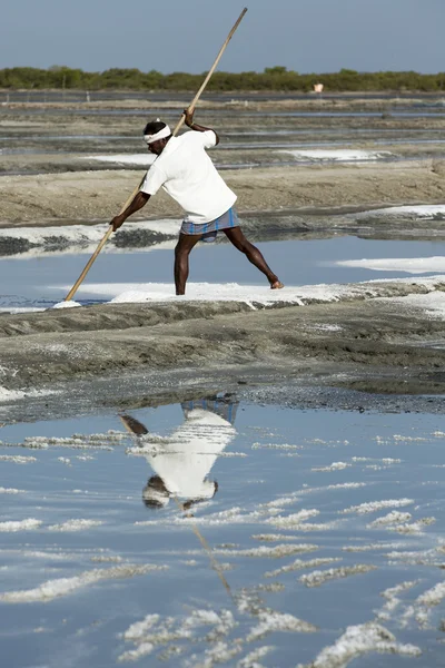 Documentary image editorial. Salt field worker India