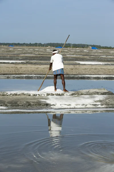 Documentary image editorial. Salt field worker India