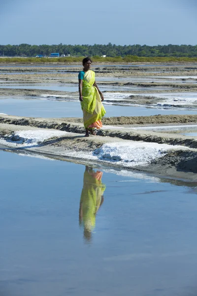 Documentary image editorial. Salt field worker India