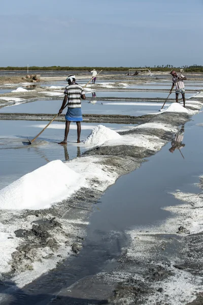 Documentary image editorial. Salt field worker India