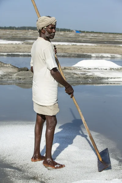 Documentary image editorial. Salt field worker India