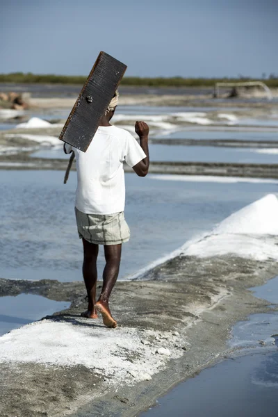 Documentary image editorial. Salt field worker India